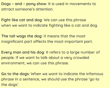 Dog Idioms and Meaning PDF Worksheet For Students