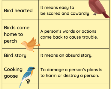 Idioms about Birds and Meaning PDF Worksheet For Students and Kids