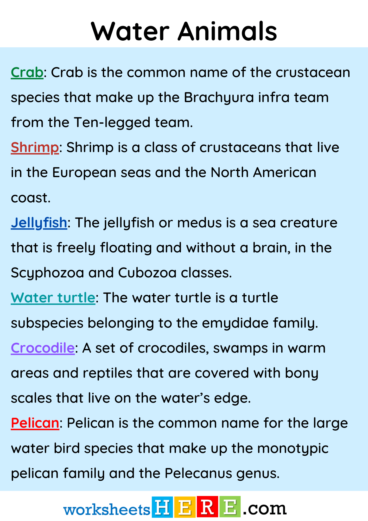 Water Animals Names nad Expressions PDF Worksheet For Students